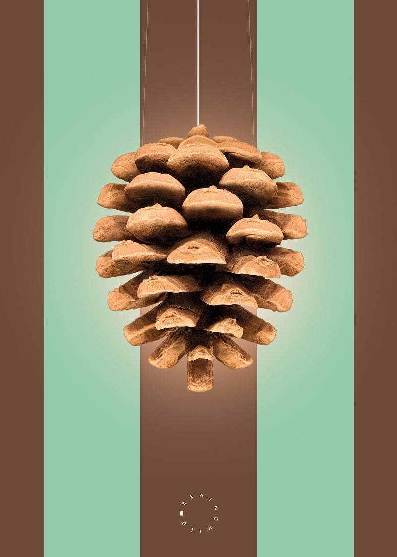 Brainchild – Poster – Modern Edition  – The Pine Cone