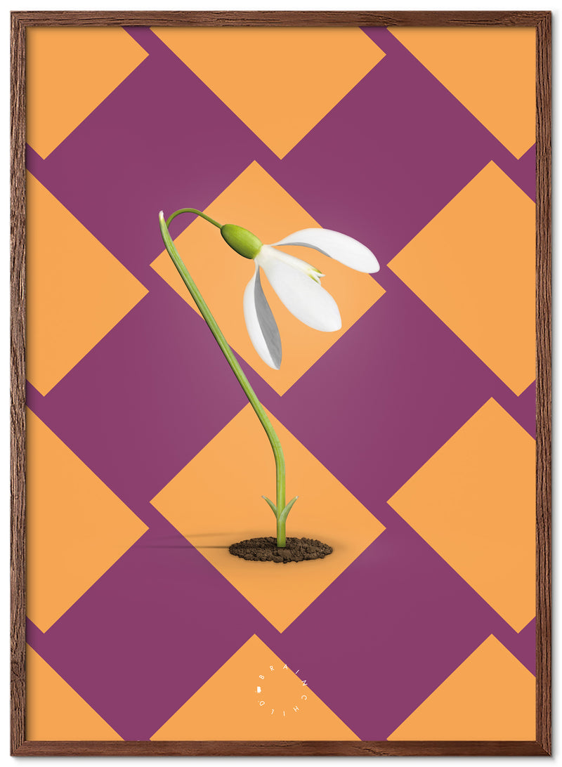 Brainchild – Poster – Modern Edition – The Snowdrop
