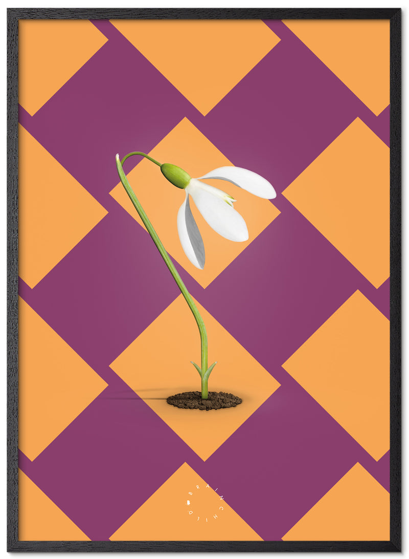 Brainchild – Poster – Modern Edition – The Snowdrop