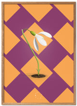 Brainchild – Poster – Modern Edition – The Snowdrop