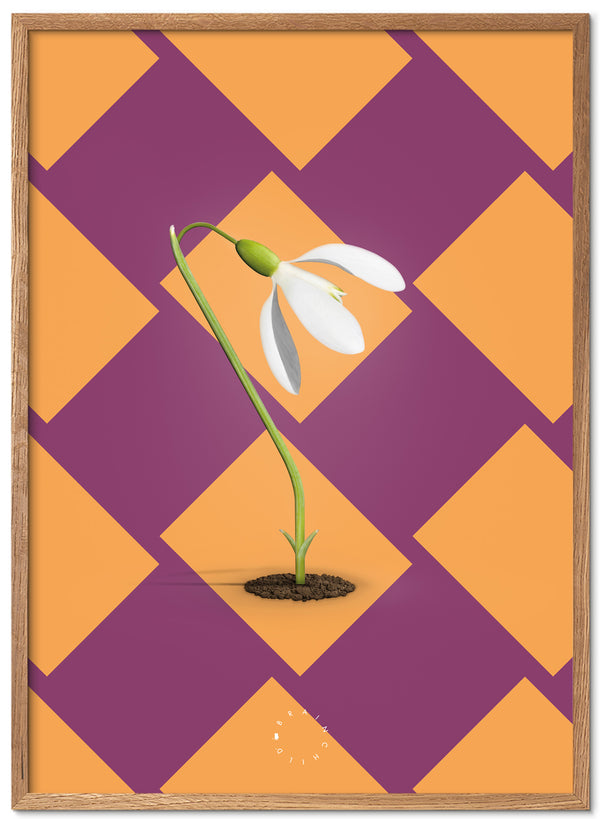 Brainchild – Poster – Modern Edition – The Snowdrop