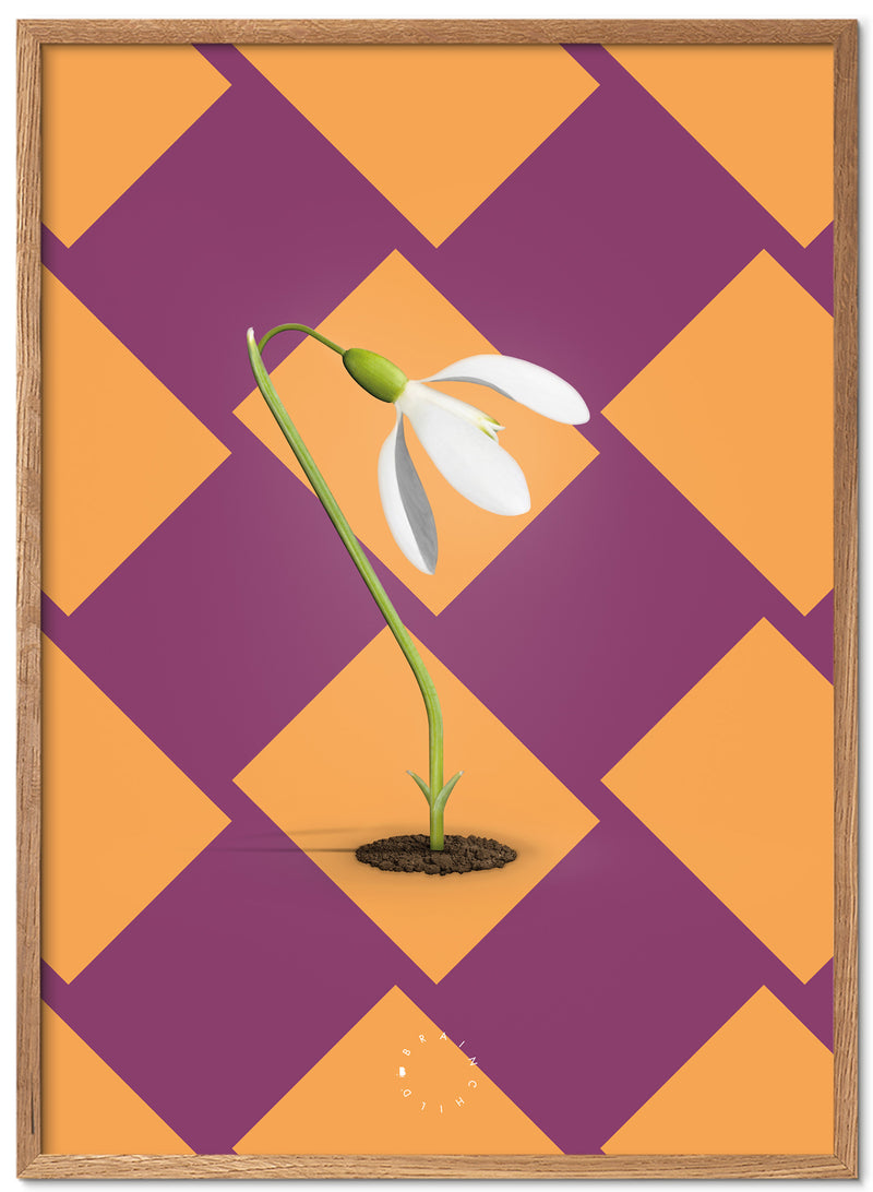 Brainchild – Poster – Modern Edition – The Snowdrop