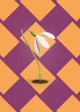 Brainchild – Poster – Modern Edition – The Snowdrop