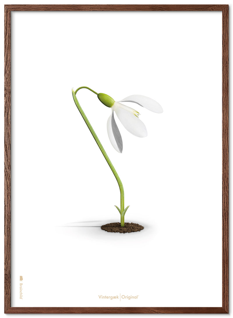 Brainchild – Poster – Classic – White – The Snowdrop