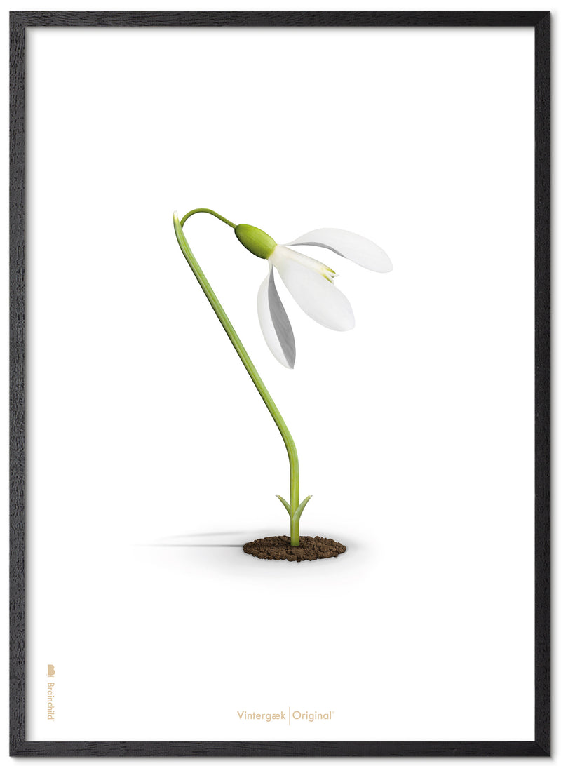 Brainchild – Poster – Classic – White – The Snowdrop