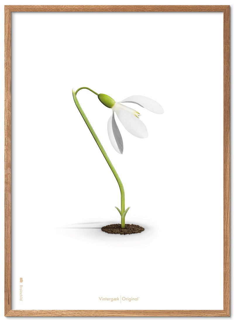 Brainchild – Poster – Classic – White – The Snowdrop