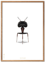Brainchild – Poster – Classic – White – The Ant