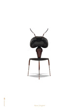 Brainchild – Poster – Classic – White – The Ant