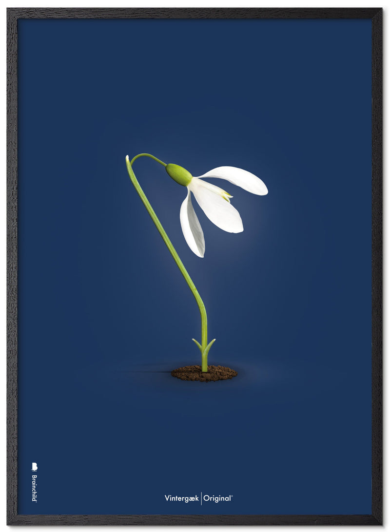 Brainchild – Poster – Classic – Dark Blue – The Snowdrop