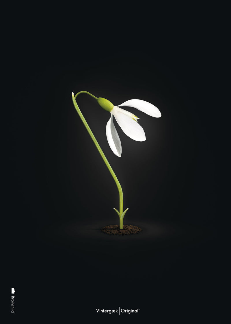 Brainchild – Poster – Classic – Black – The Snowdrop