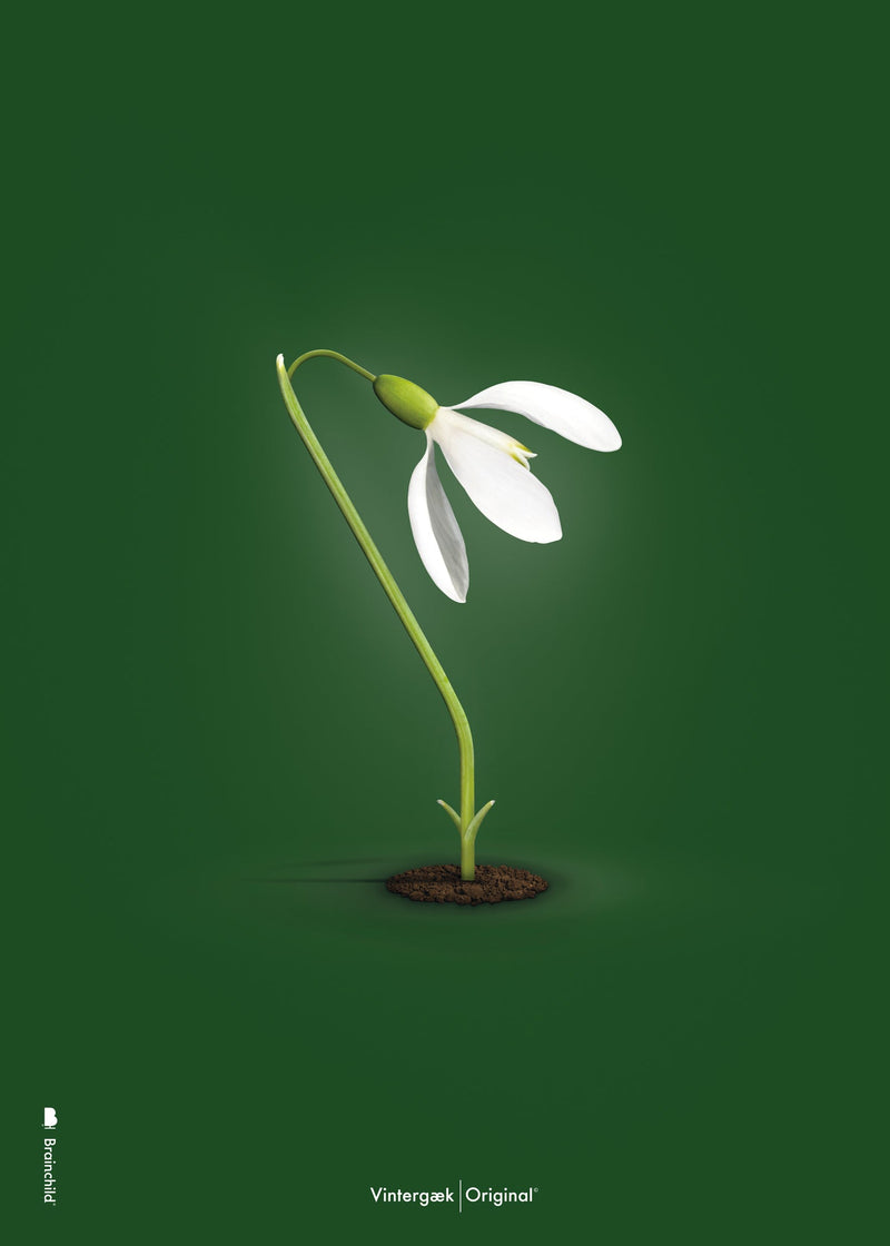 Brainchild – Poster – Classic – Green – The Snowdrop